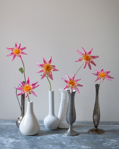 Five pink flowers in various vases on a gray surface with a plain background