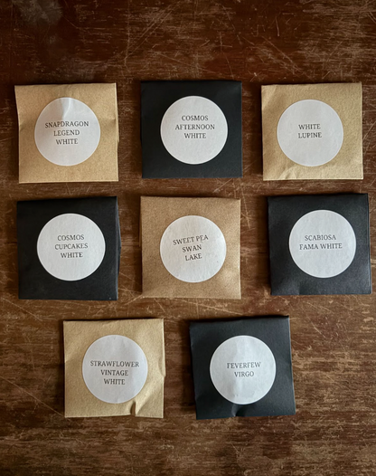 Favorite Whites Collection