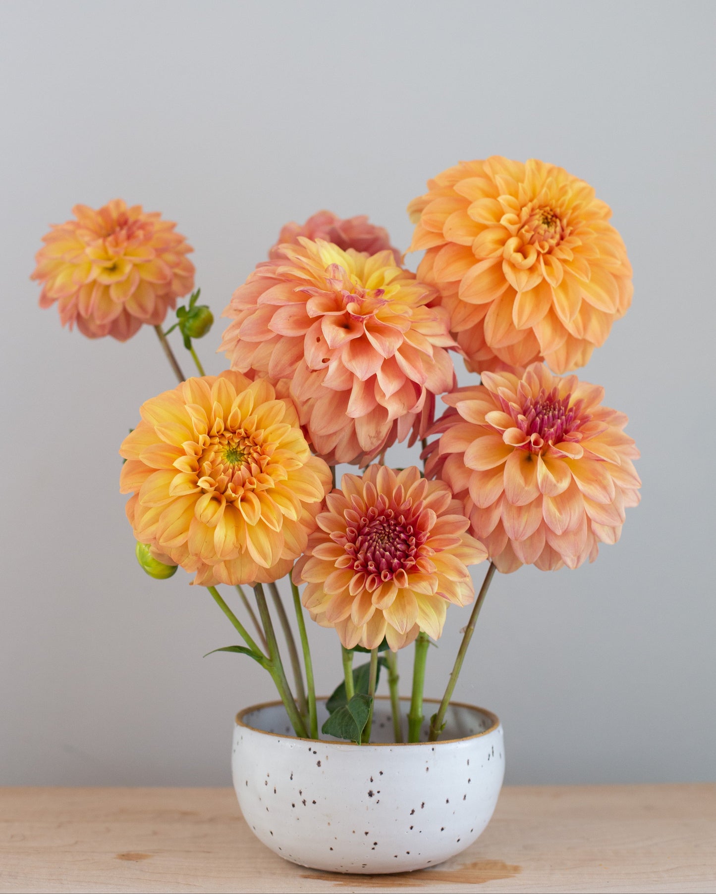 Bouquet of orange and pink flowers in a white vase on a wooden surface with a light gray background