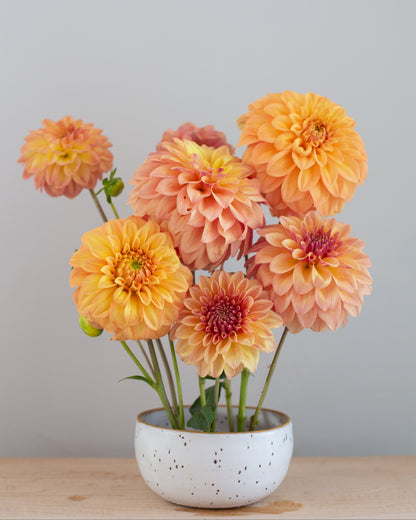 Bouquet of orange and pink flowers in a white vase on a wooden surface with a light gray background