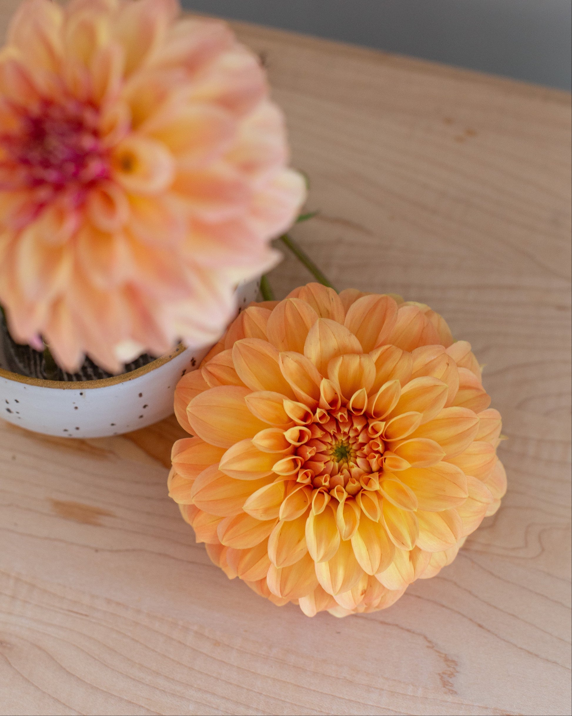 Pink and orange flowers in a pot on a wooden surface
