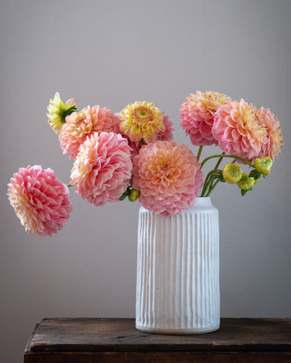 A bouquet of pink and yellow dahlia flowers arranged in a white ribbed ceramic vase, placed on a dark wooden surface against a plain gray background.