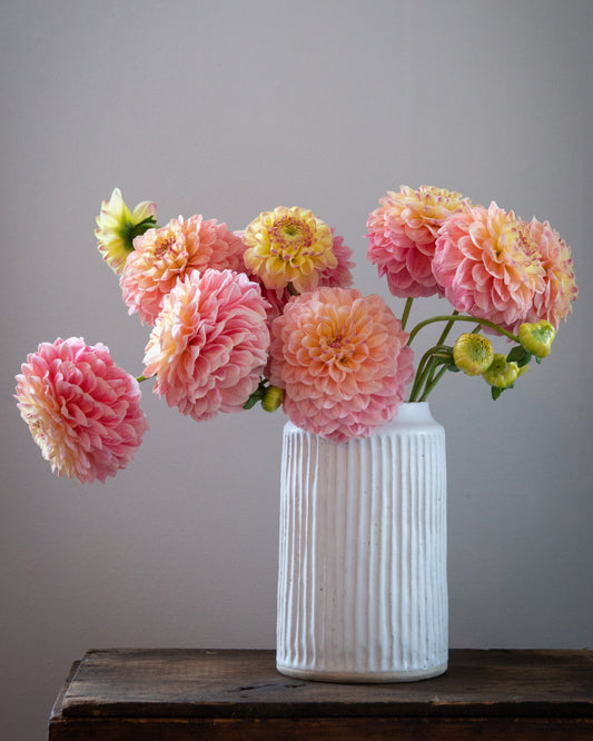 A bouquet of pink and yellow dahlia flowers arranged in a white ribbed ceramic vase, placed on a dark wooden surface against a plain gray background.