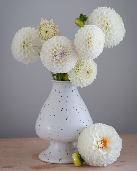 White dahlia flowers arranged in a speckled white ceramic vase on a light wooden surface against a neutral gray background.