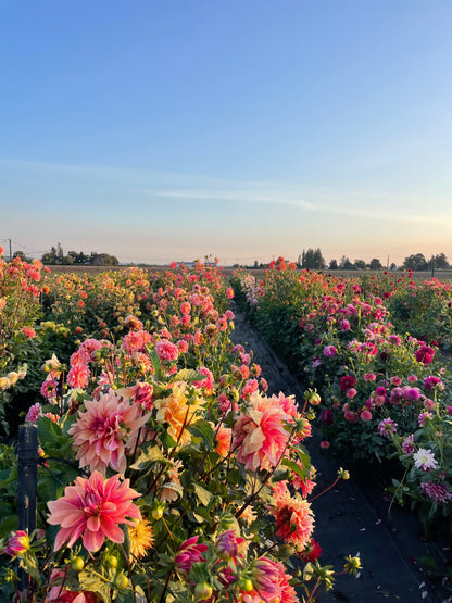 4 Day Flower Retreat: