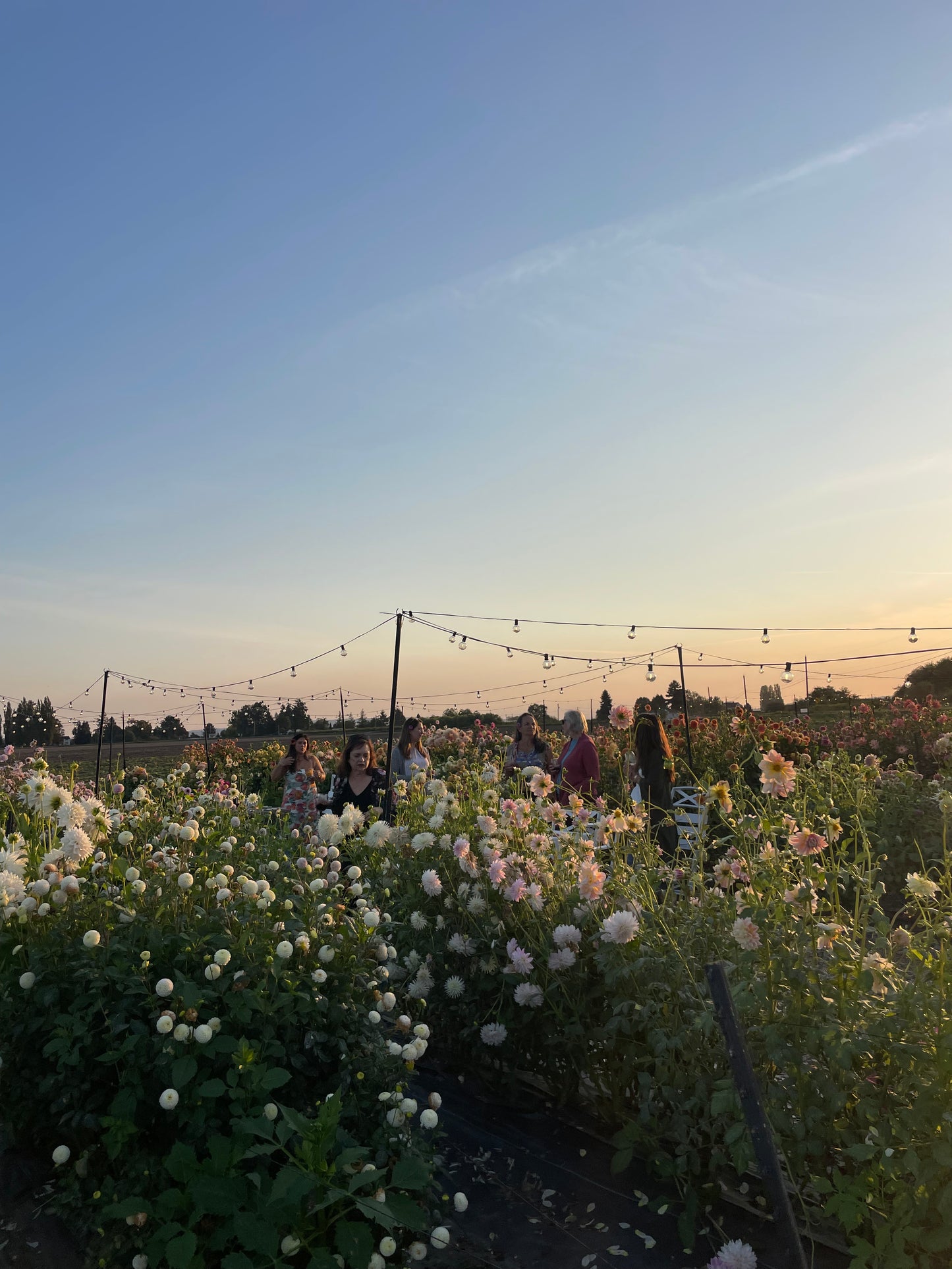 4 Day Flower Retreat: