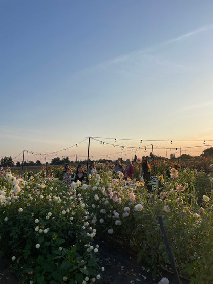 4 Day Flower Retreat: