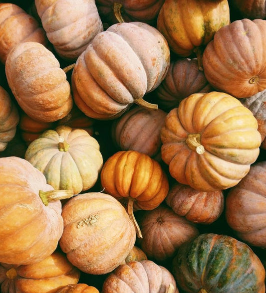 Orange Pumpkin Mix