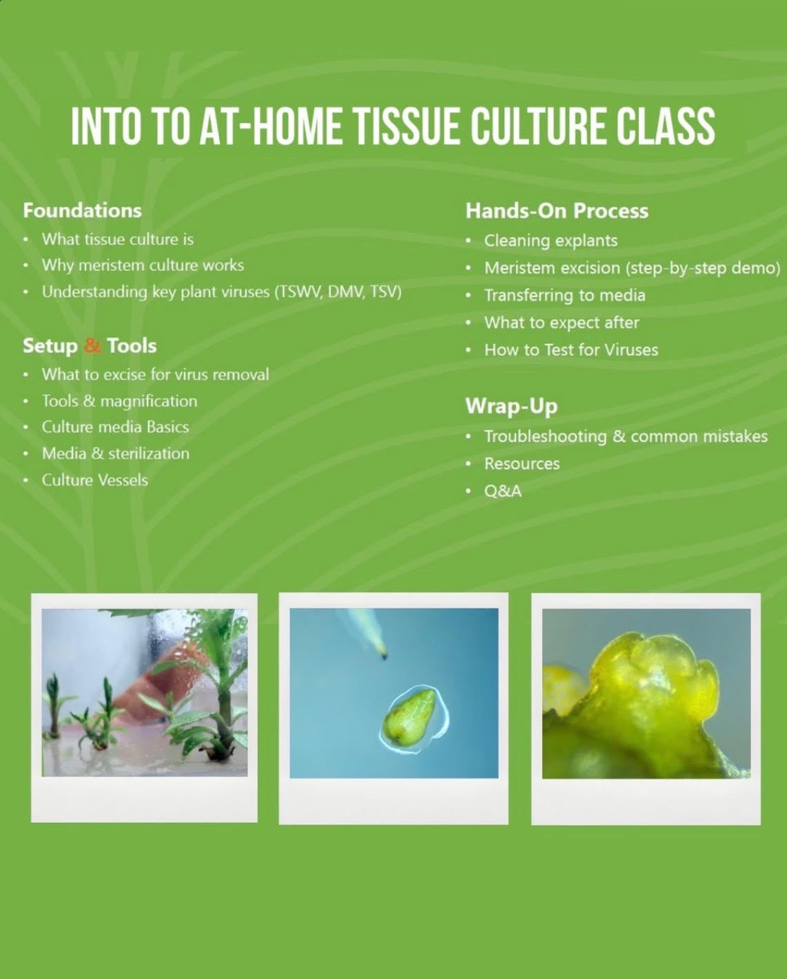 Tissue Culture Intensive: FRIDAY 1PM