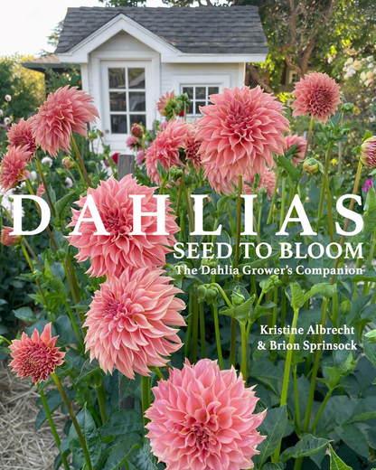 Dahlia Hybridizing Intensive: THURSDAY 1PM