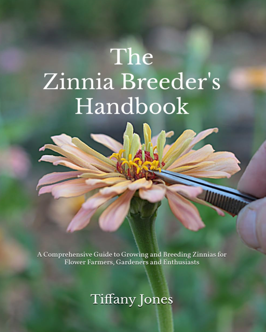 Zinnia Hybridizing Intensive: THURSDAY 9AM
