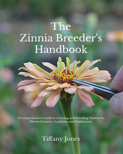 Zinnia Hybridizing Intensive: THURSDAY 9AM