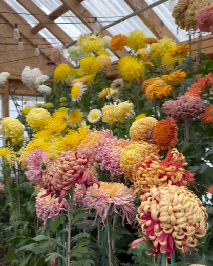 Garden Design & Propagation Workshop: FRIDAY 9AM