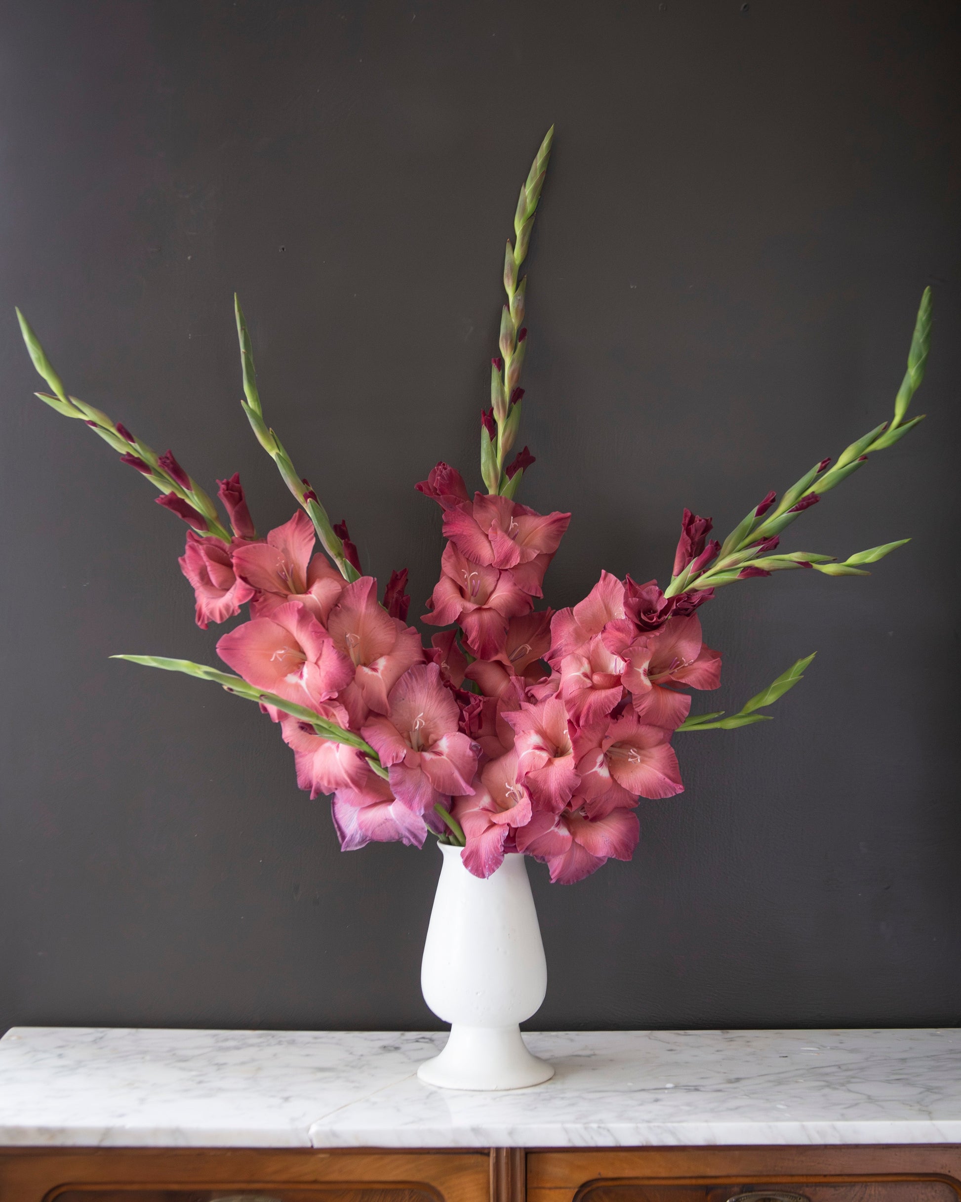 A bouquet of pink gladiolus flowers with long green stems arranged in a white pedestal vase, set on a white marble-topped wooden cabinet against a dark charcoal wall.