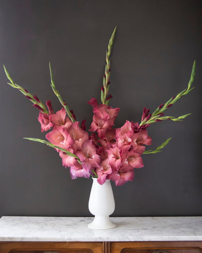 A bouquet of pink gladiolus flowers with long green stems arranged in a white pedestal vase, set on a white marble-topped wooden cabinet against a dark charcoal wall.