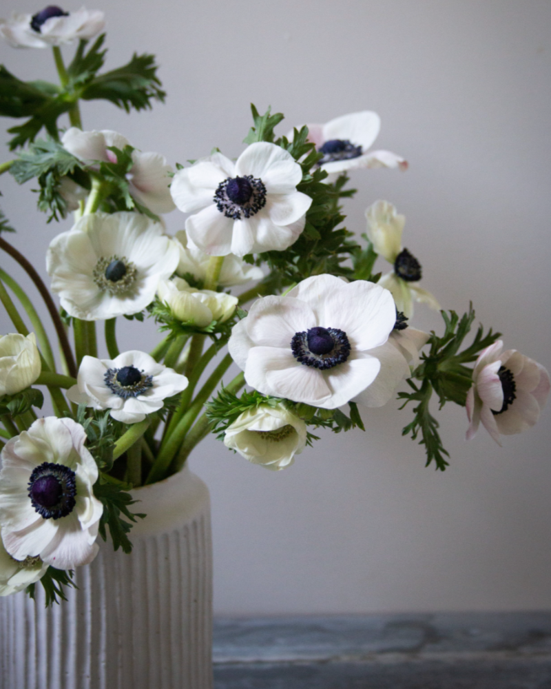 A bouquet of Italian anemone Bianco Center Nero in a white carved vase