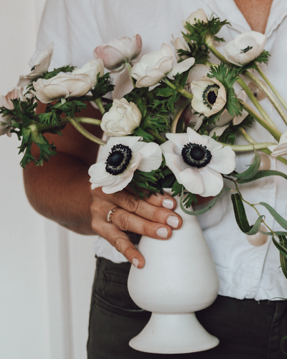 a woman's hand holds a white vase containing a bouquet of Italian anemone Bianco Center Nero. 