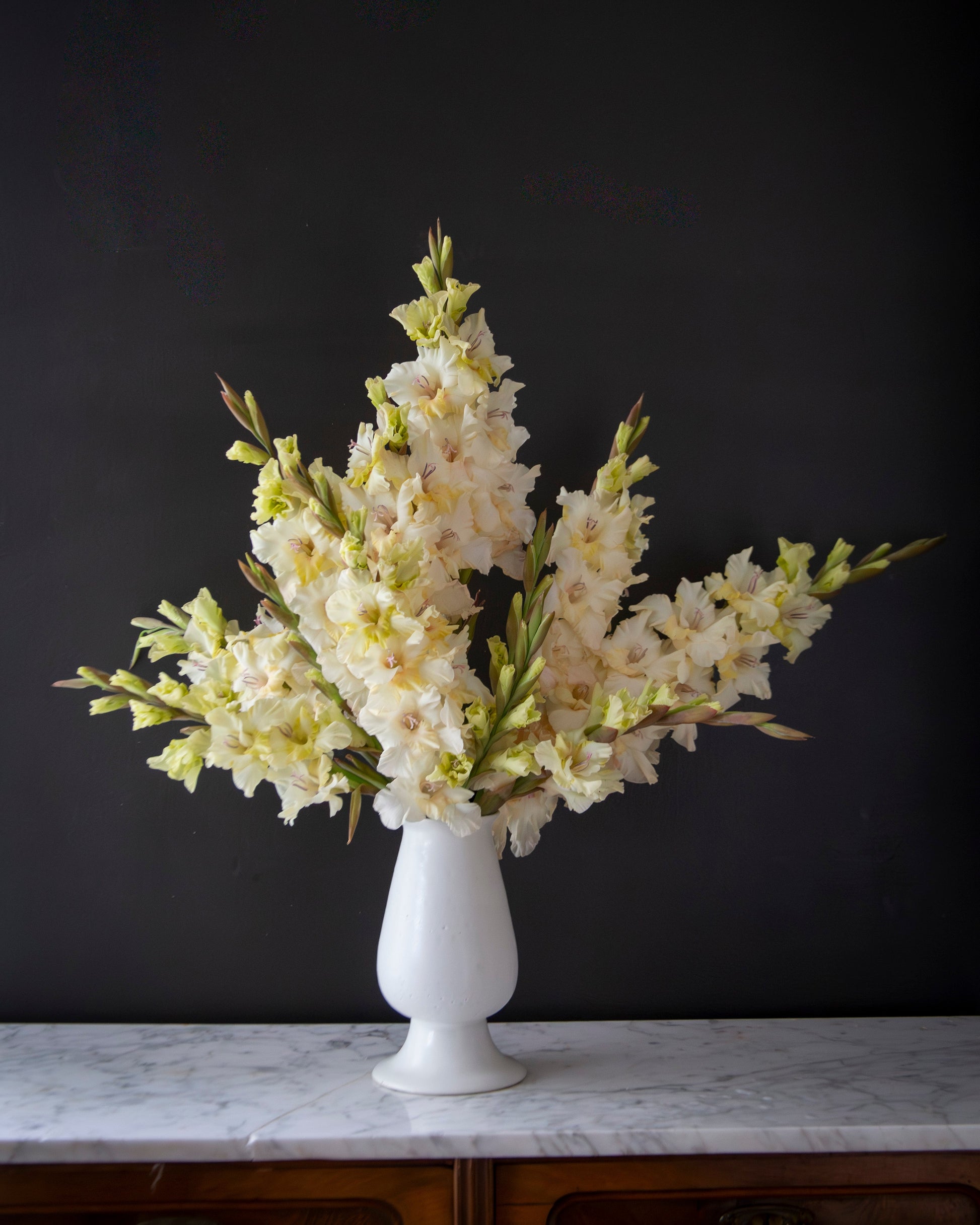 A white ceramic vase filled with a bouquet of pale cream gladiolus flowers, displayed on a white marble surface against a dark charcoal wall.