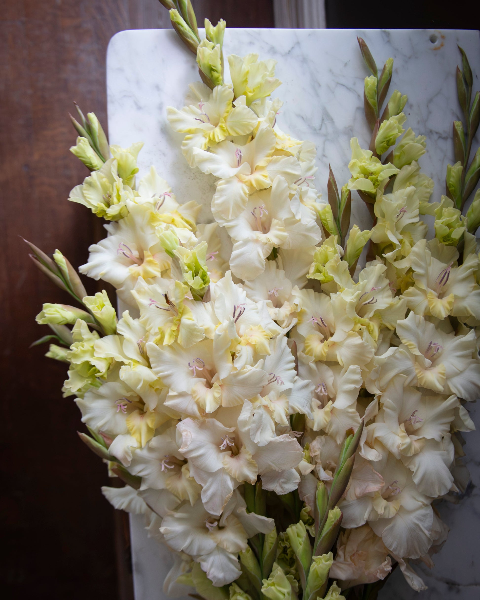 A close-up of a bouquet of pale cream and light yellow gladiolus flowers with green stems, arranged on a white marble board against a dark brown wooden background.