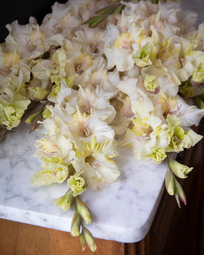 A close-up of a bouquet of pale cream and light yellow gladiolus flowers with soft pink centers, arranged on a white marble slab over a wooden surface.