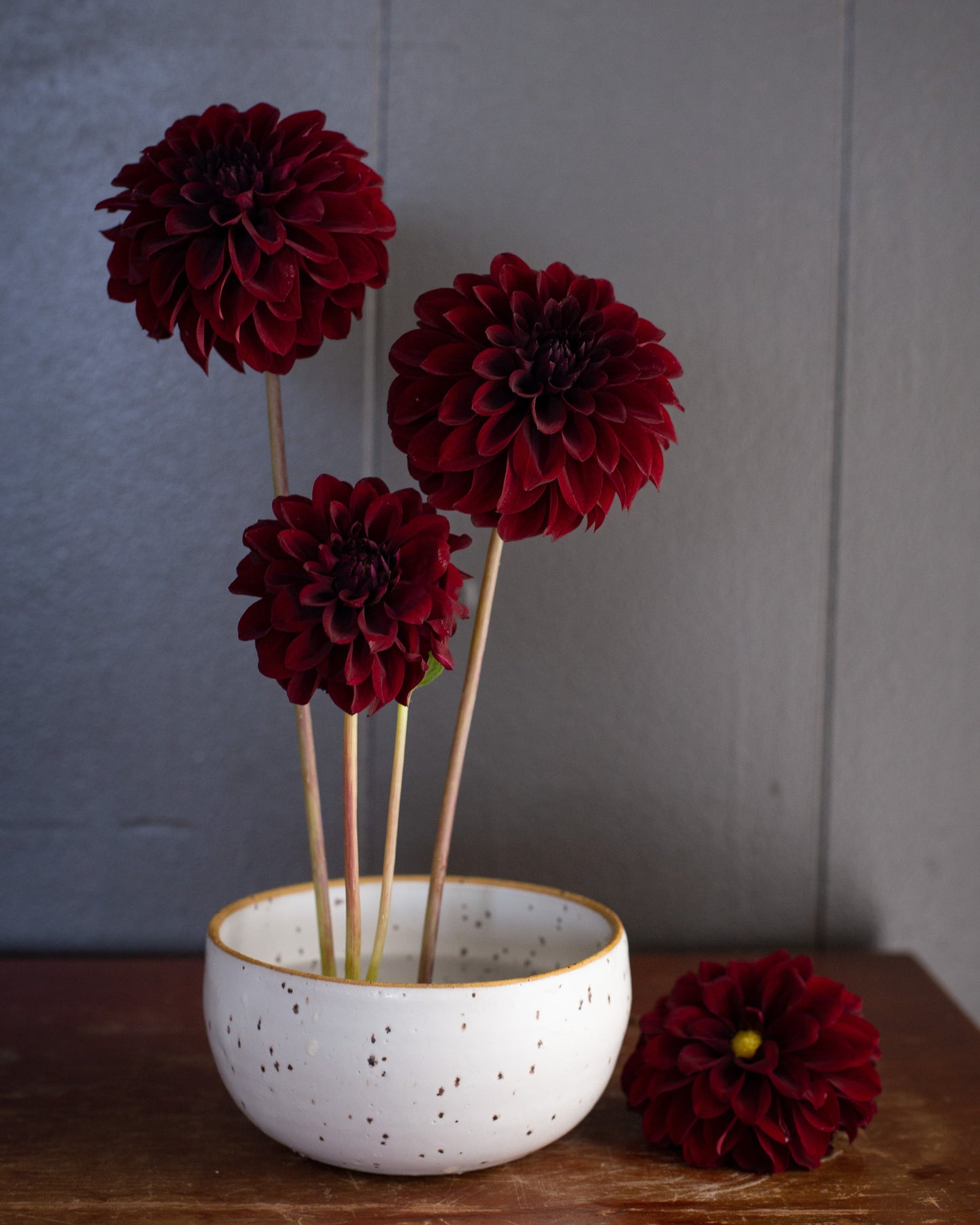 Three deep burgundy dahlia flowers, arranged in a speckled white ceramic bowl on a rustic wooden table against a gray paneled wall.