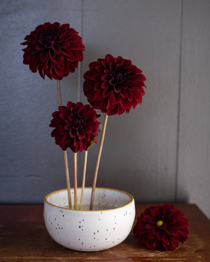 Three deep burgundy dahlia flowers, arranged in a speckled white ceramic bowl on a rustic wooden table against a gray paneled wall.
