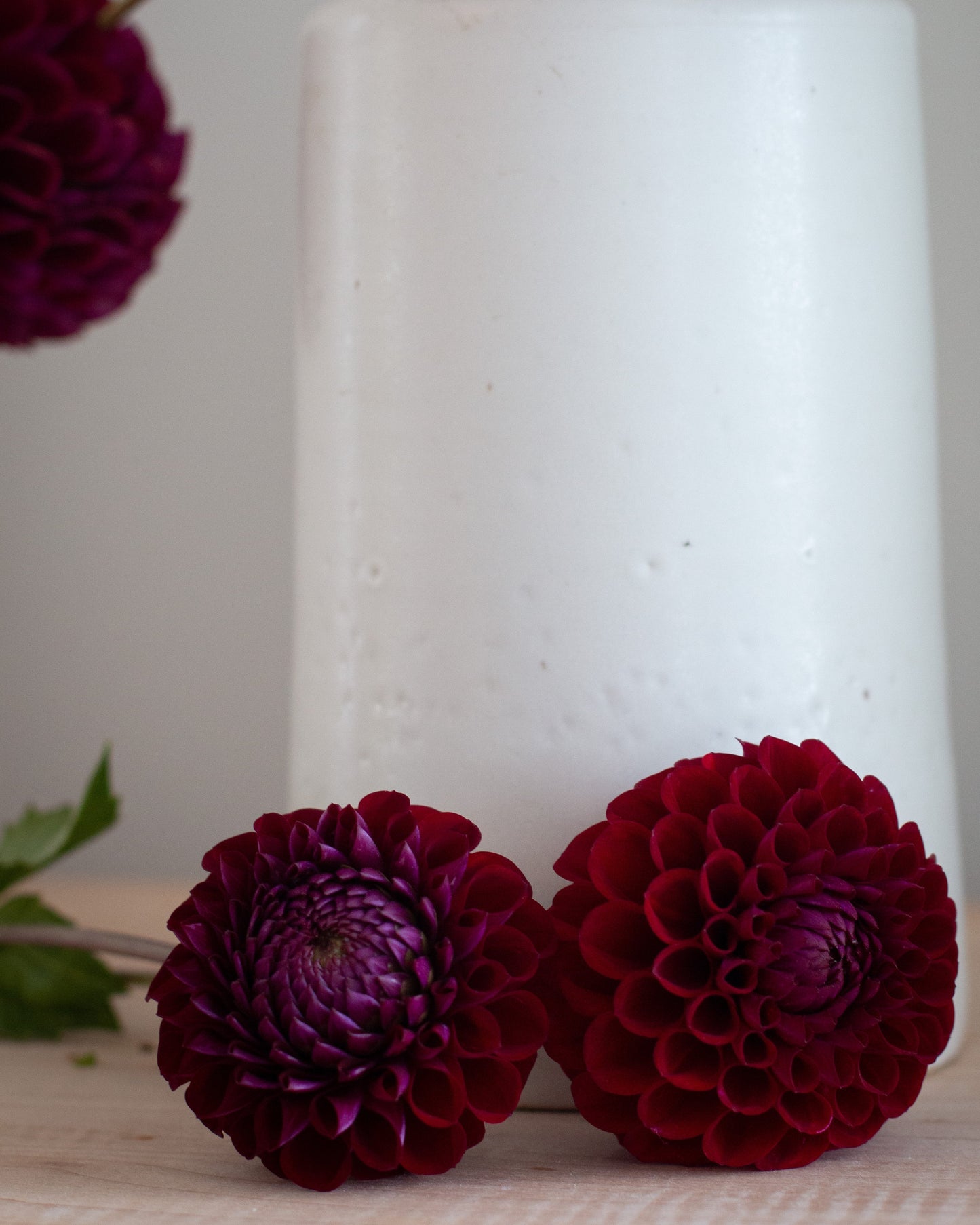 A white ceramic vase with dried stems and deep burgundy dahlias, styled on a light wooden surface with two dahlias in the foreground against a soft gray background.