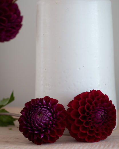 A white ceramic vase with dried stems and deep burgundy dahlias, styled on a light wooden surface with two dahlias in the foreground against a soft gray background.