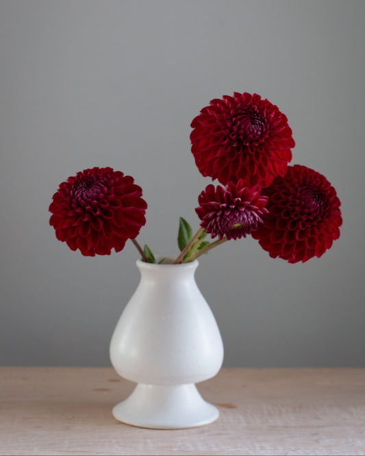 Three deep red dahlia flowers arranged in a small white ceramic vase on a light wood surface against a plain gray background.