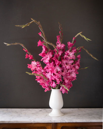 A vibrant pink gladiolus flower arrangement in a white ceramic vase, displayed on a white marble surface against a dark charcoal wall.