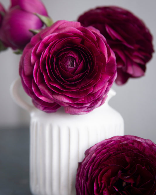White vase with purple flowers on a light gray background