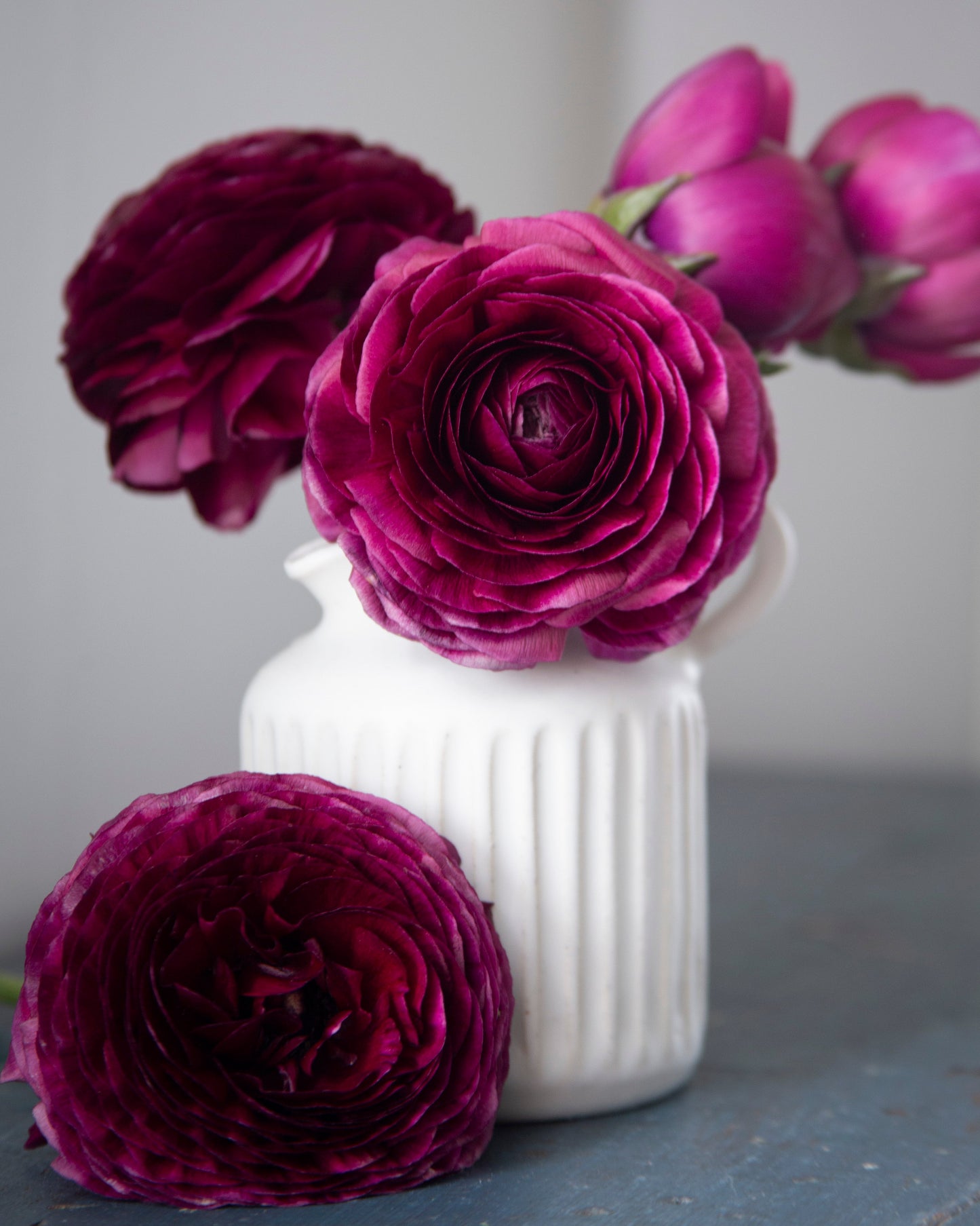 White vase with purple flowers on a gray surface