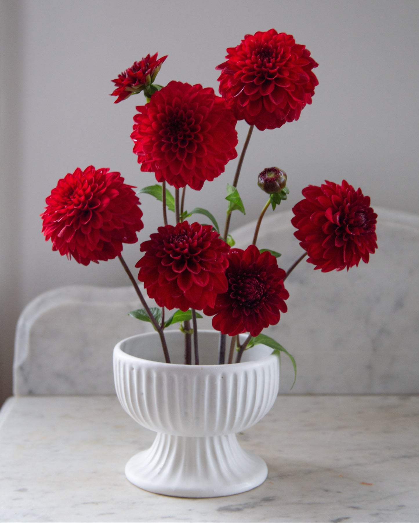 Red flowers in a white vase on a marble surface with a gray background