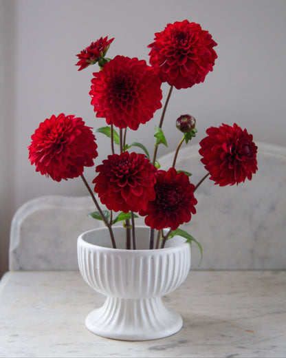 Red flowers in a white vase on a marble surface with a gray background