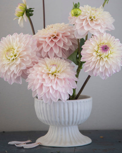 White vase with pink flowers against a gray background