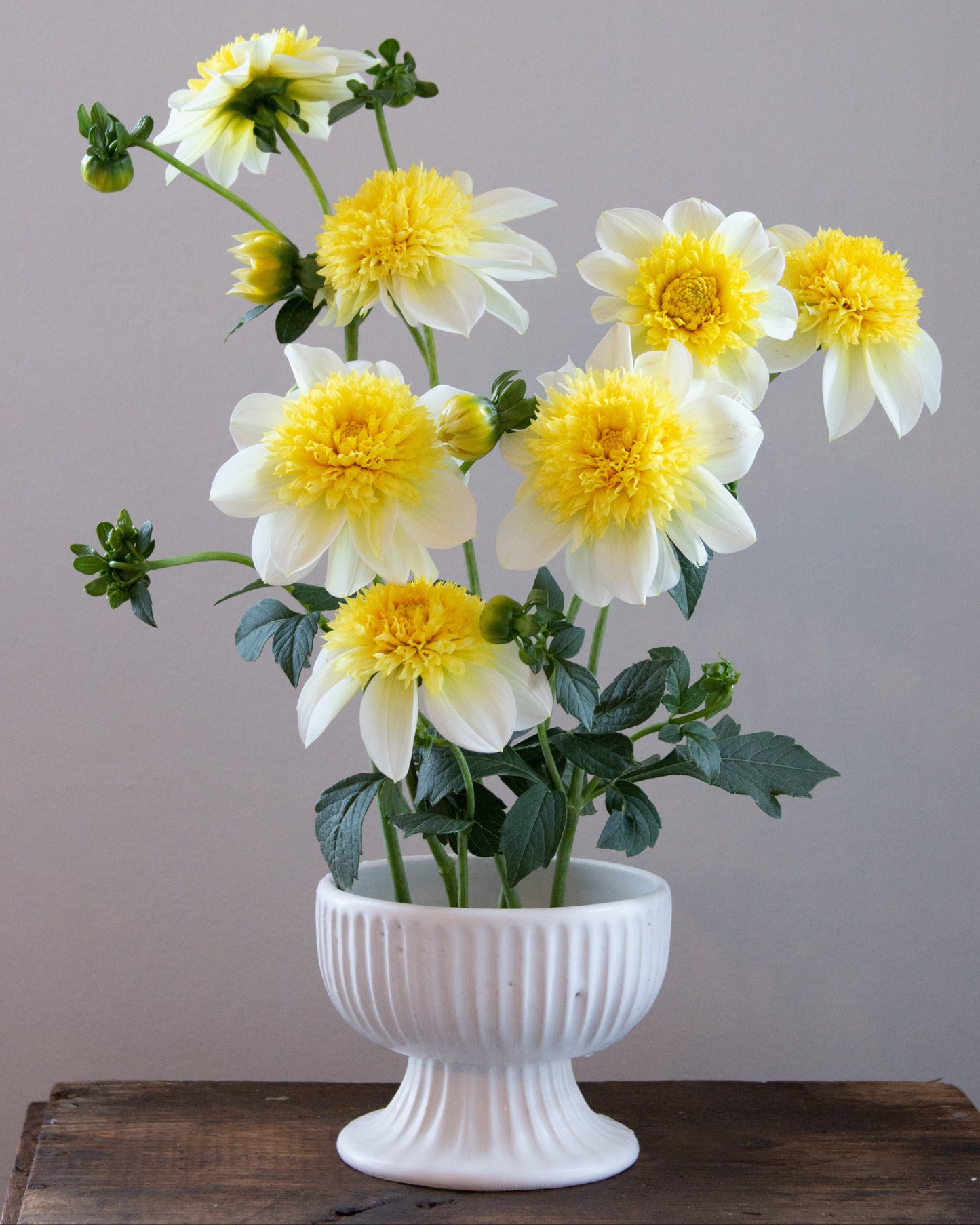 White and yellow flowers in a white vase on a wooden surface with a gray background