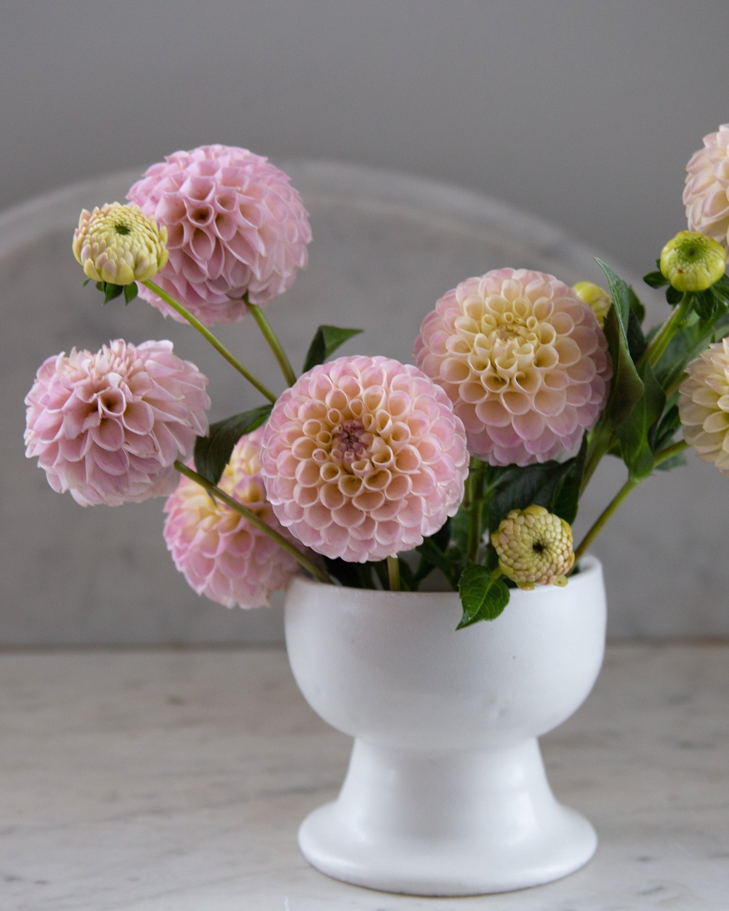 White vase with pink and yellow flowers on a marble surface with a gray background