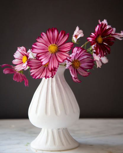 White vase with pink flowers against a dark background