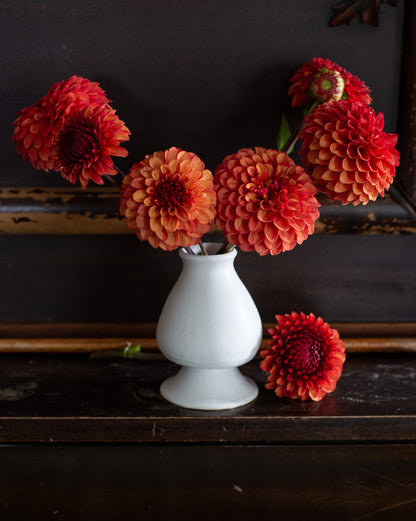 White vase with red and orange flowers on a dark wooden surface