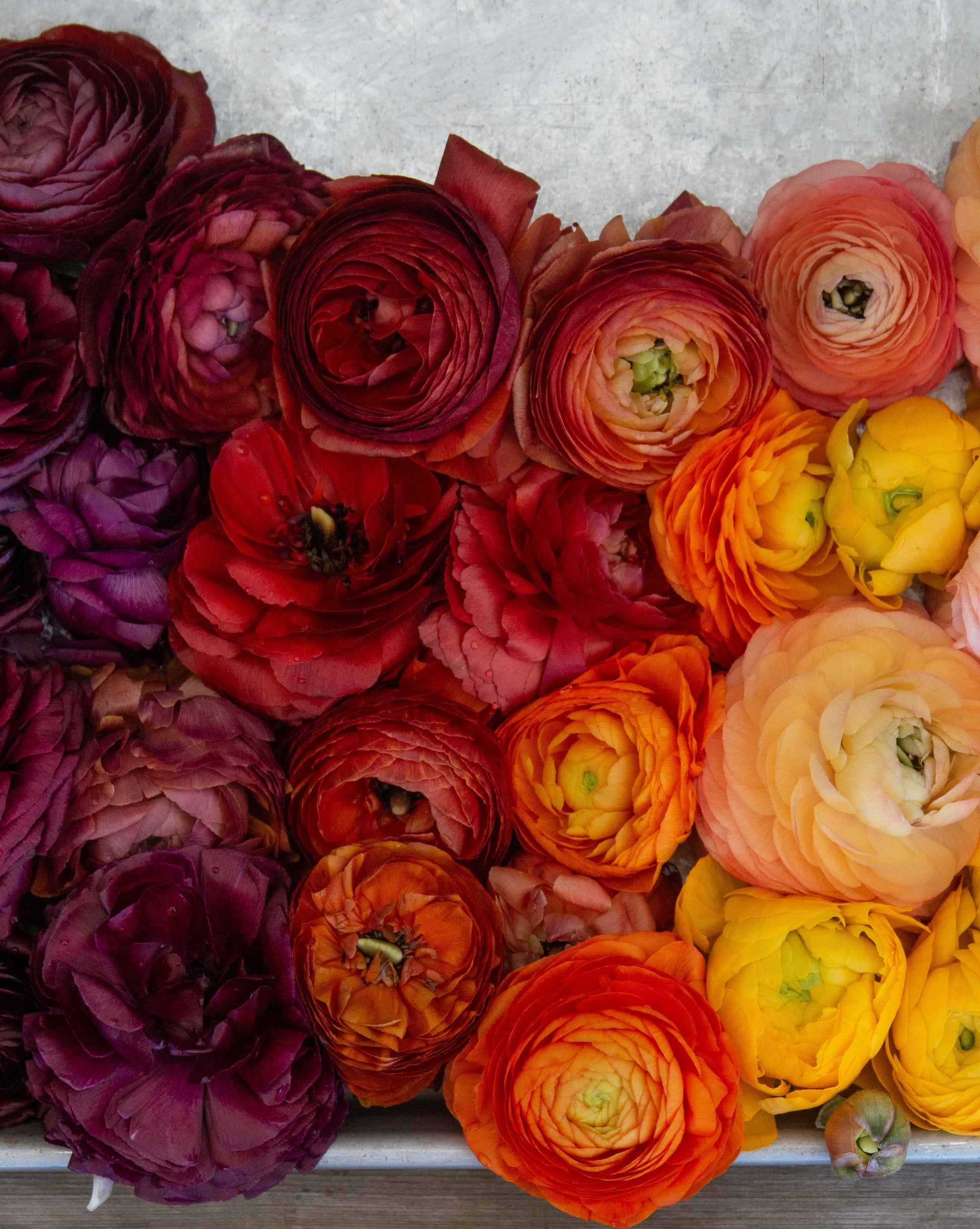 Colorful flower arrangement on a wooden surface 