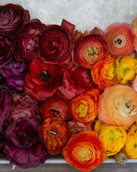 Colorful flower arrangement on a wooden surface 