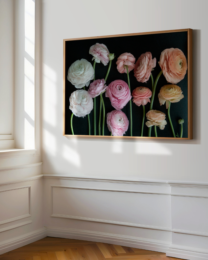 Ranunculus Dolce Amour Print