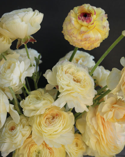 Bouquet of light yellow and white flowers against a dark background
