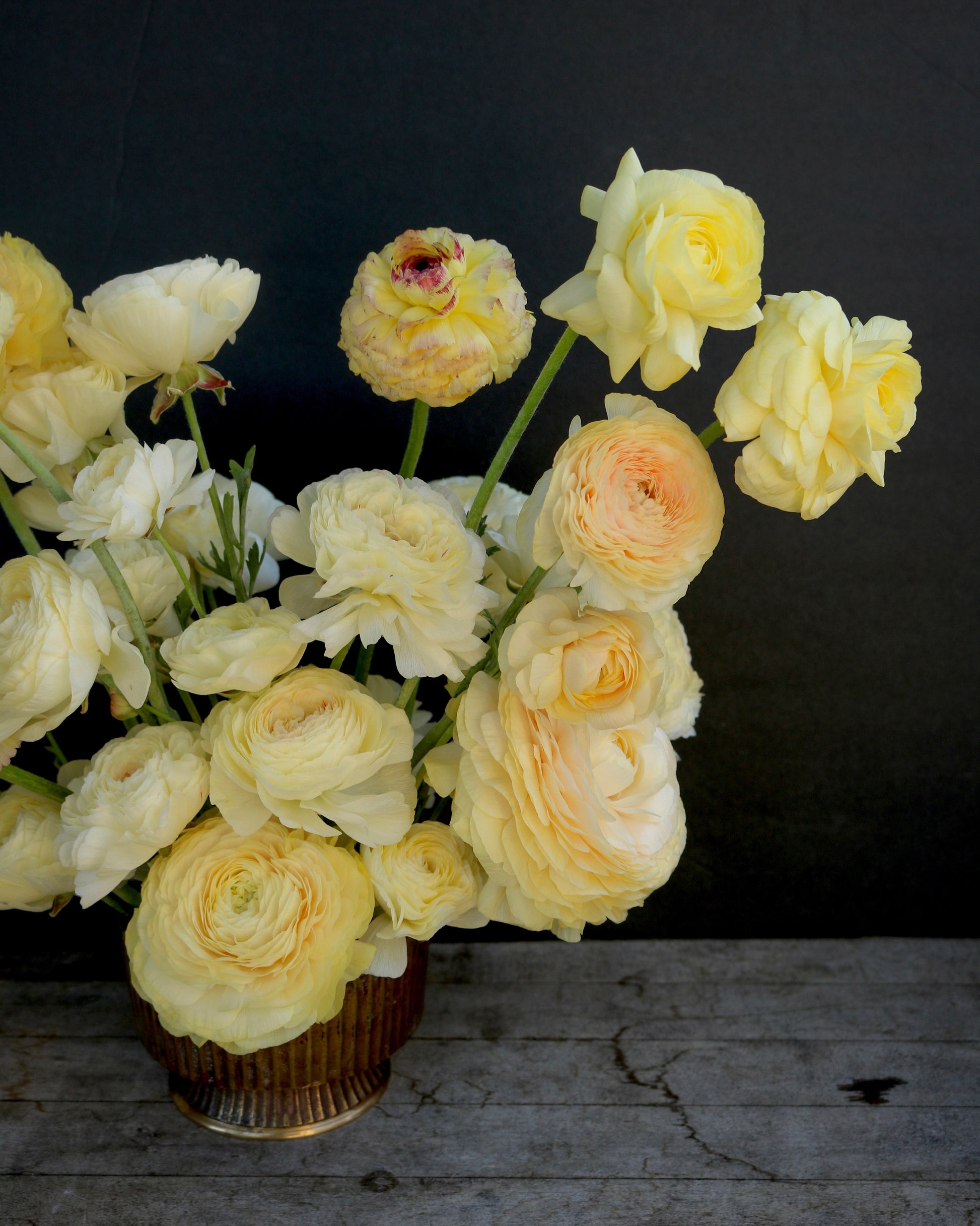 Bouquet of yellow roses in a vase on a dark background