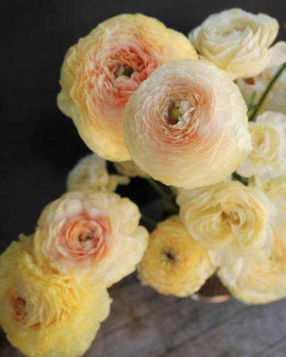 Bouquet of yellow flowers with a dark background