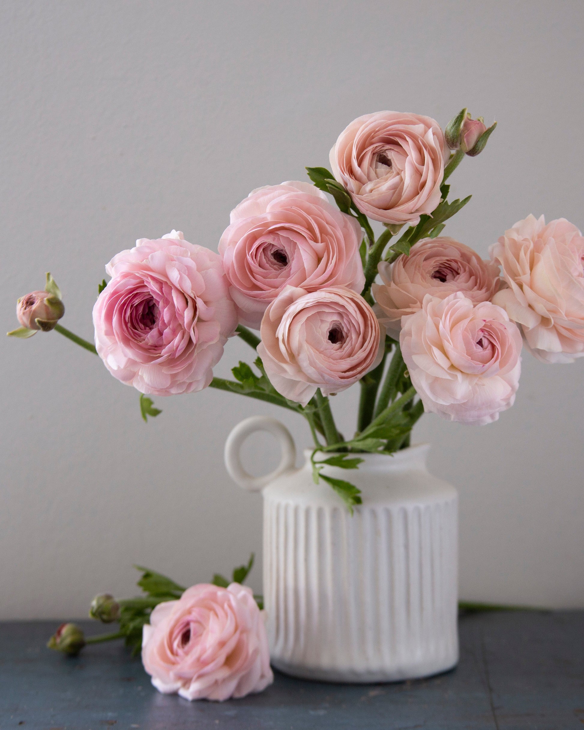 Bouquet of pink flowers in a white vase on a gray surface with a neutral background