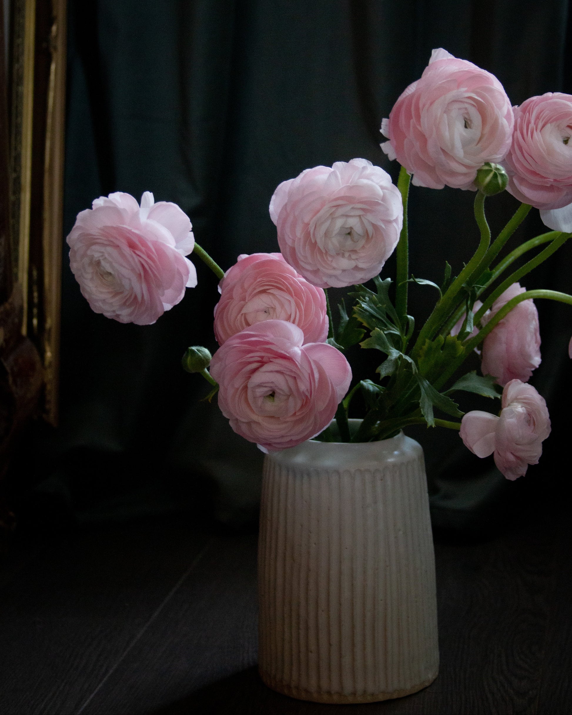 Pink flowers in a white vase against a dark background