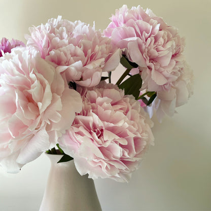 Peony Sarah Bernhardt