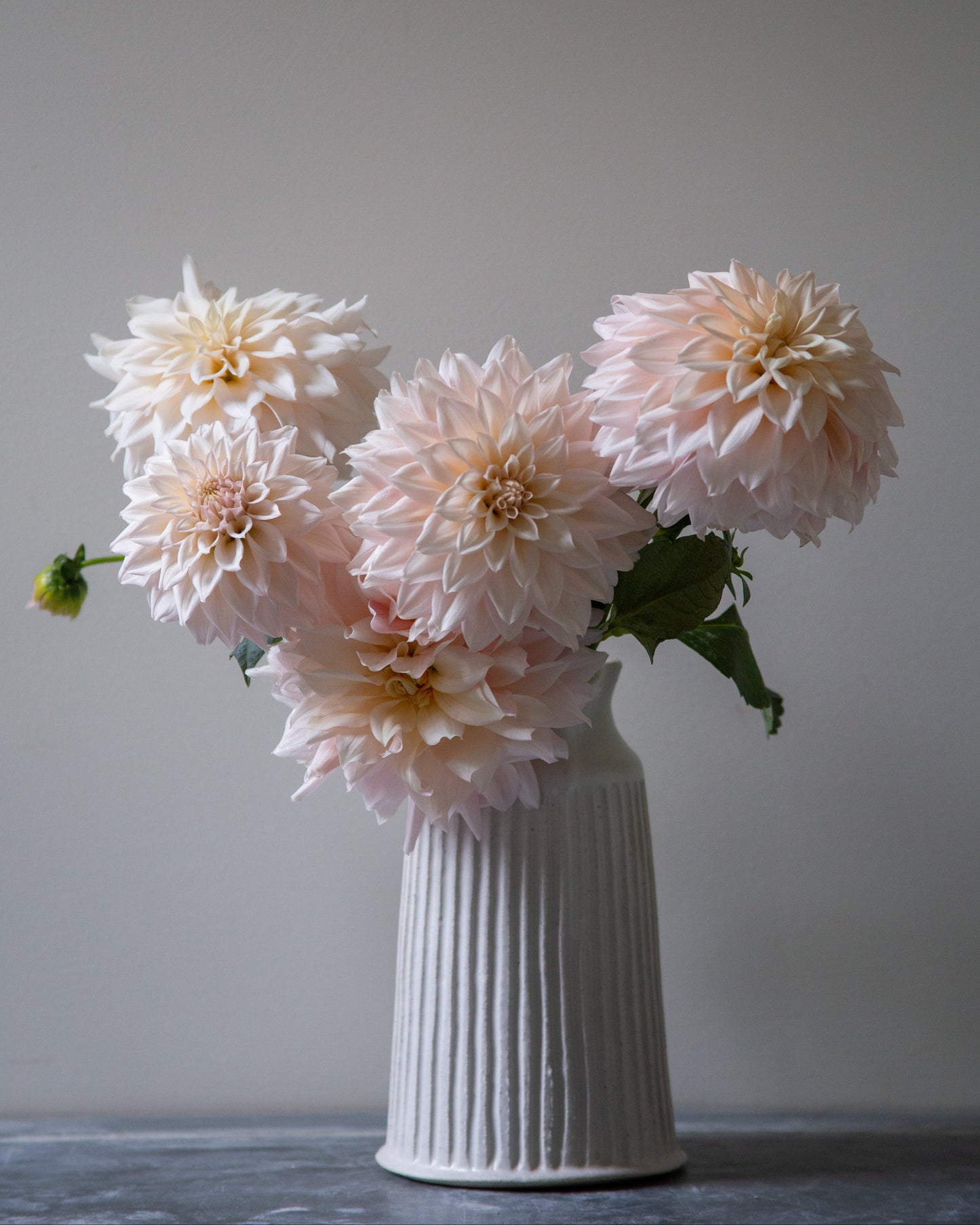 White vase with pink flowers against a plain background