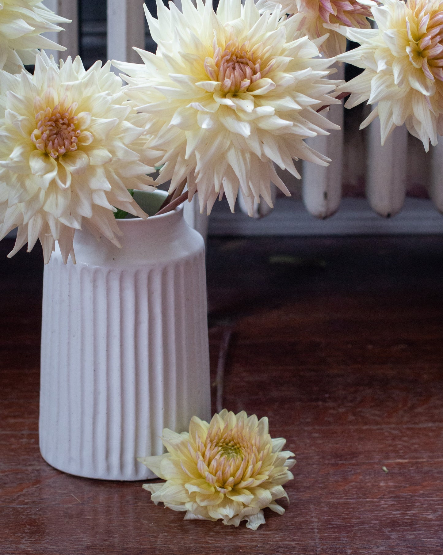 White vase with cream-colored flowers on a wooden surface in front of a radiator.